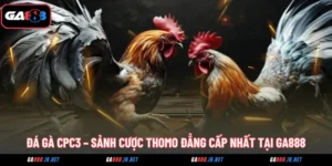 da ga cpc3 sanh cuoc thomo dang cap nhat tai ga888